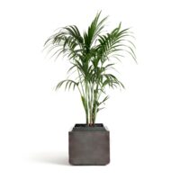 Cache-pot cubique en métal H45 cm Botania Gun Métal AM.PM