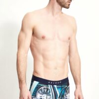 Le boxer wheel Arthur