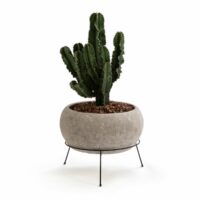 Cache-pot ciment ø35 x H29 cm Ollam AM.PM