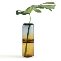 Vase verre grand modèle Gélule AM.PM