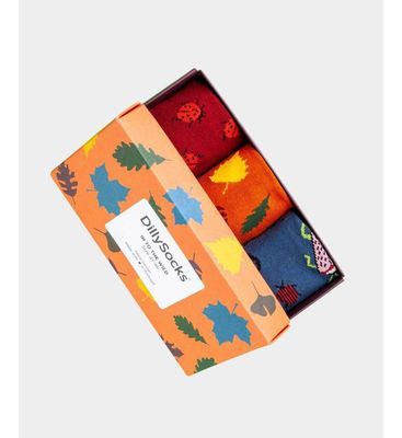 Coffret de 3 paires de chaussettes Multicolore Dillysocks Coffret de 3 paires de chaussettes Multicolore Dillysocks