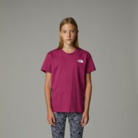 T-shirt à manches courtes imprimé dos - The North Face