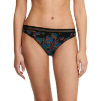 Tanga Dream Today - Passionata