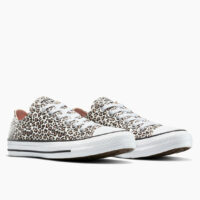Baskets all star seasonal ox archive print - Converse